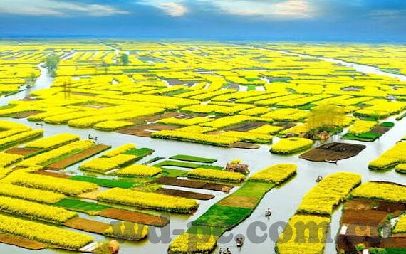 今晚的足球比分-今夜烽火重燃,足球比分背后的激情与悬念