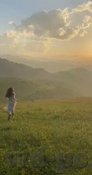 输得最惨的足球比分-历史回响,探寻足球史上输得最惨的比分背后的故事