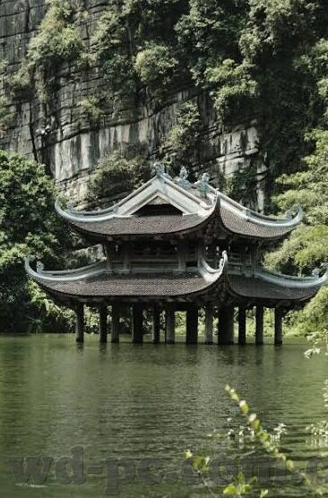 足球比分实单-从看热闹到懂门道,足球比分实单背后的策略与智慧
