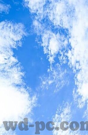热门文章