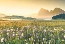 足球开奖比分直播-足球开奖比分直播,连接球迷与赛场的实时纽带